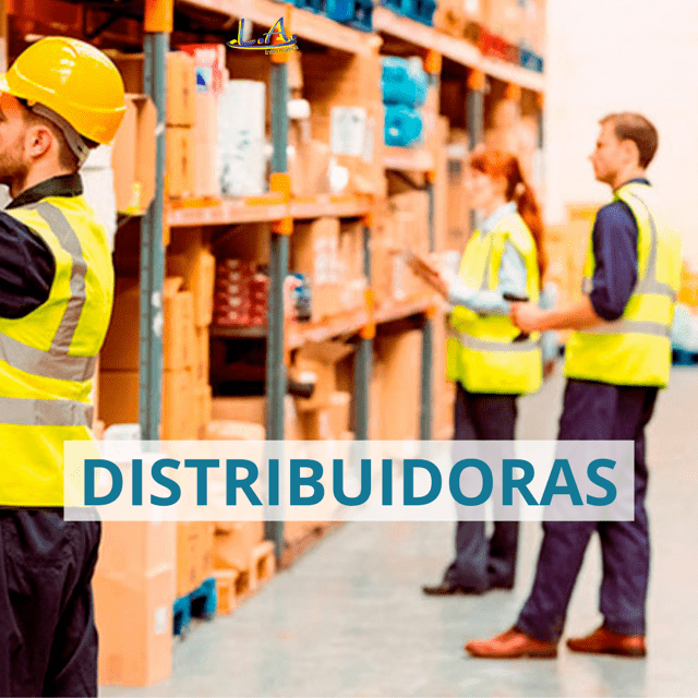 Distribuidoras - Segmentos Odvix